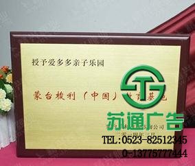 銅質(zhì)獎(jiǎng)牌制作公司